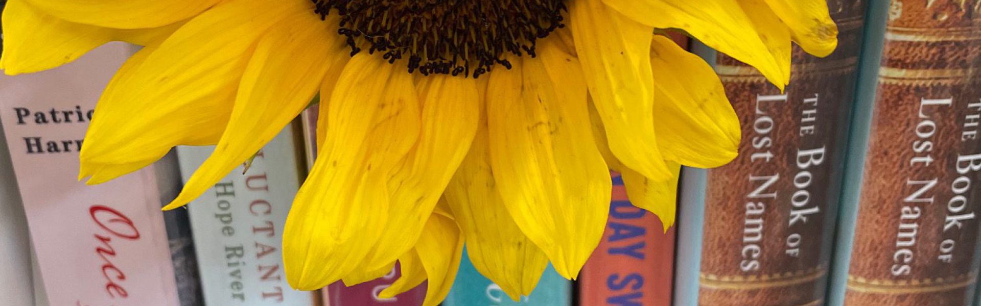 Sunflower on library books