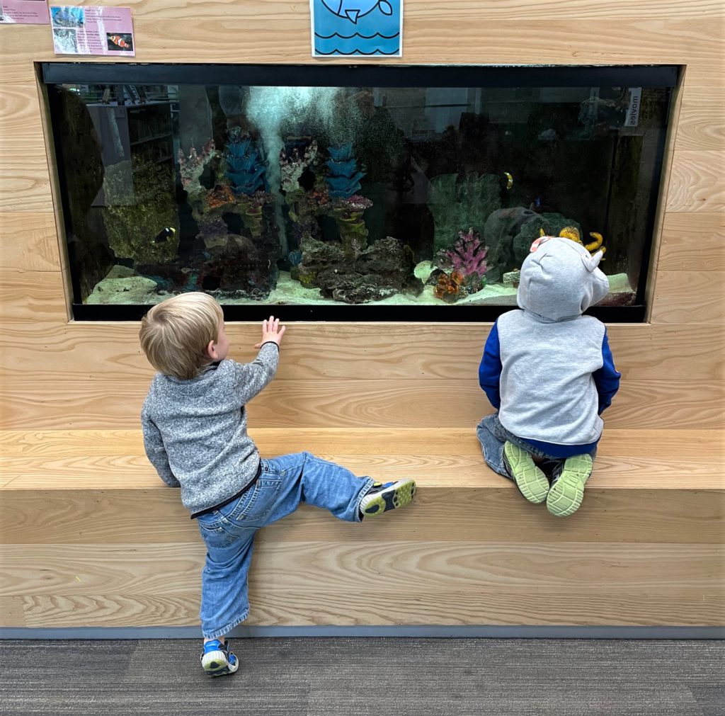 Children playing near fish tank at Lawrence Public Library