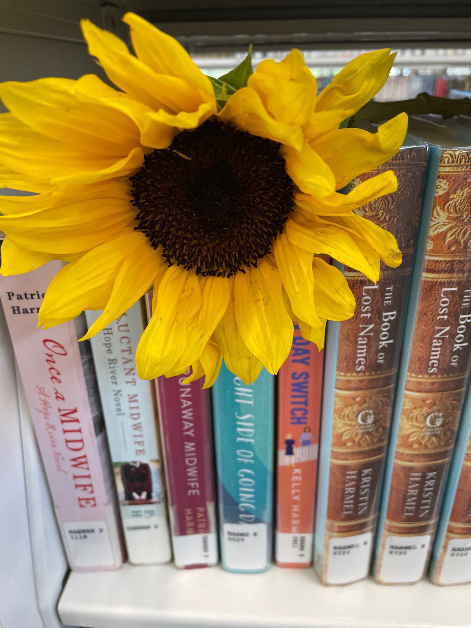 Sunflower on library books